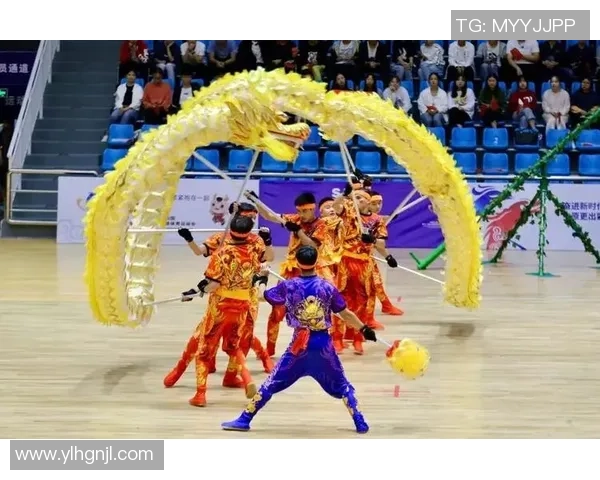 西安飞盘队在极限运动会中的团队协作表现分析与点评